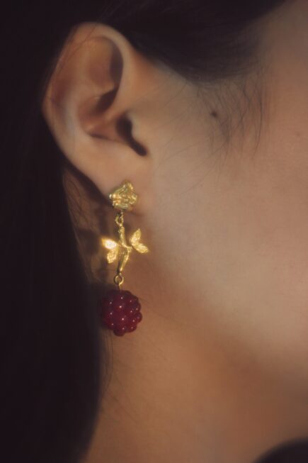 roses and raspberries earrings 10 decoart