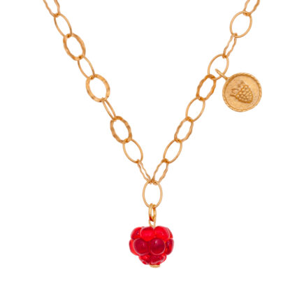 pendant with raspberry